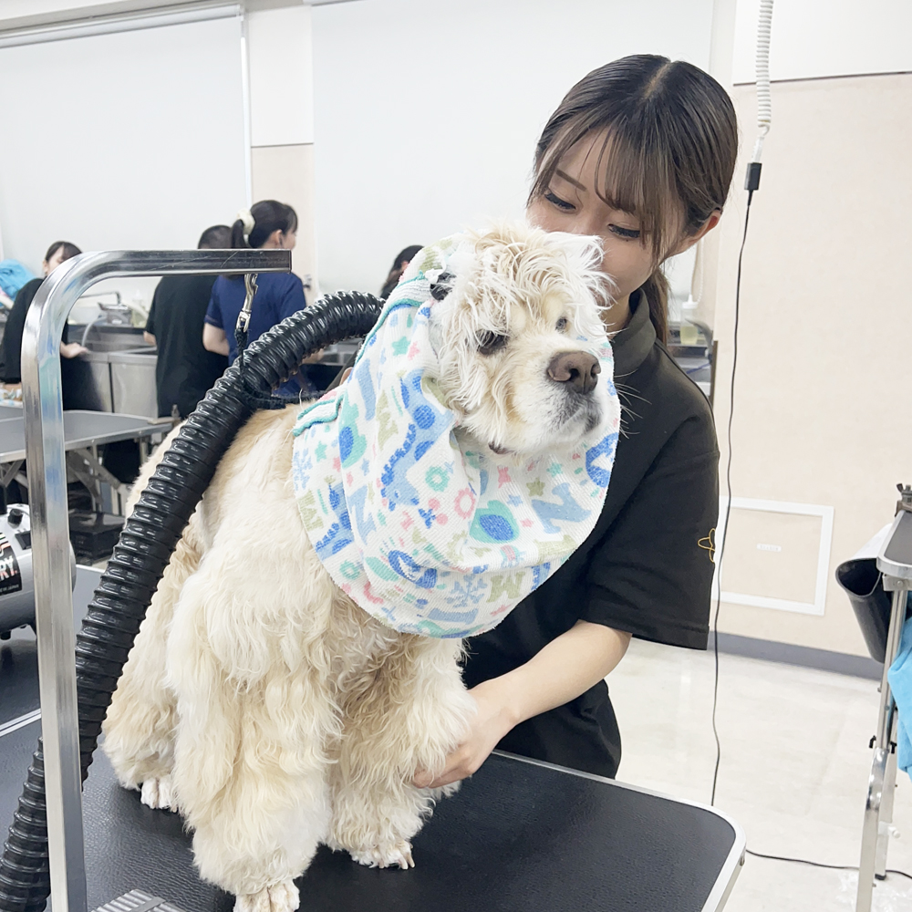 先生手作りヘアバンド！